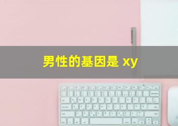 男性的基因是 xy